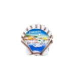 Μαγνητάκι Θάσος κοχύλι