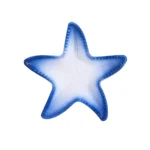 Πλαστικό διακοσμητικό πιάτο αστερίας