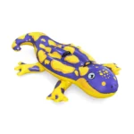 Φουσκωτή σαύρα