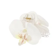 Κλάμερ λουλούδι ορχιδέα - Image 6
