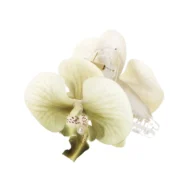 Κλάμερ λουλούδι ορχιδέα - Image 3