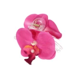 Κλάμερ λουλούδι ορχιδέα