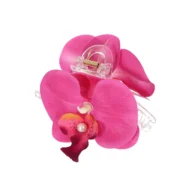 Κλάμερ λουλούδι ορχιδέα