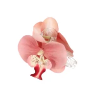 Κλάμερ λουλούδι ορχιδέα - Image 4