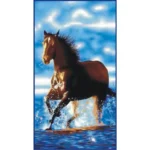 Πετσέτα θαλάσσης