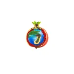 Μαγνητάκι Κεραμωτή ρόδι