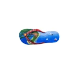 Μαγνητάκι Κεραμωτή σαγιονάρα