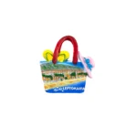 Μαγνητάκι Λεπτοκαρυά τσάντα