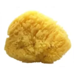 Σφουγγάρι φυσικό 4-4,5''